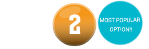 2_with badge